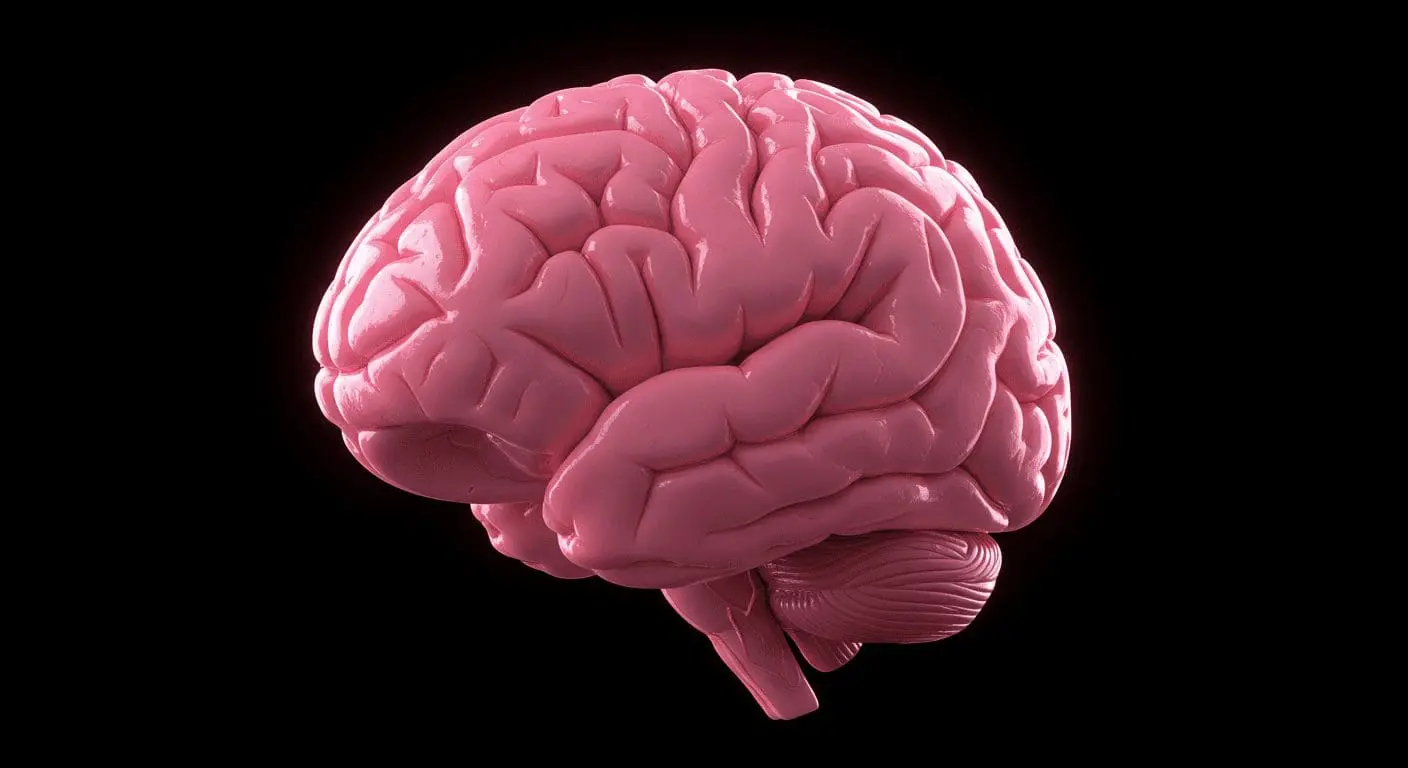 How Generative AI Supports Expert Cognition While Preserving Human Expertise