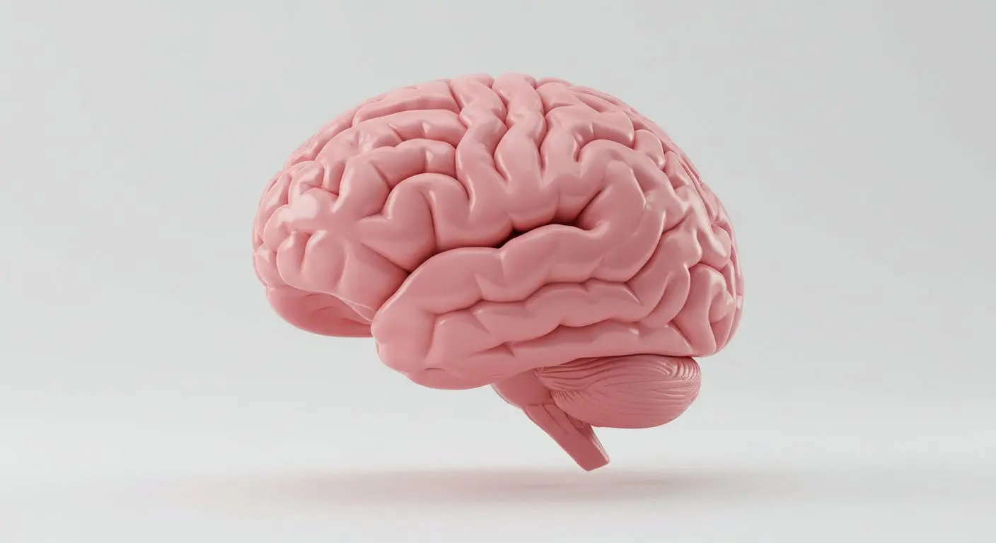 Curriculum Learning Enhances Neural Network States for Efficient Many-Body Predictions