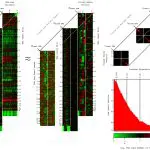 University of Utah Builds Quantum AI for Cancer’s Molecular Background