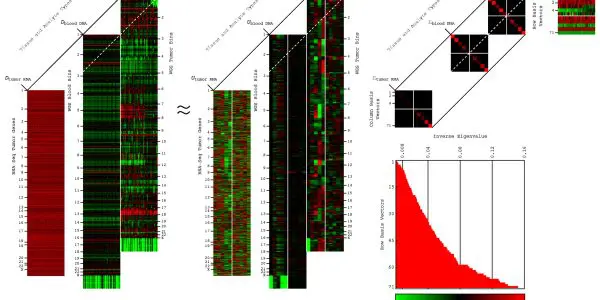 University of Utah Builds Quantum AI for Cancer’s Molecular Background