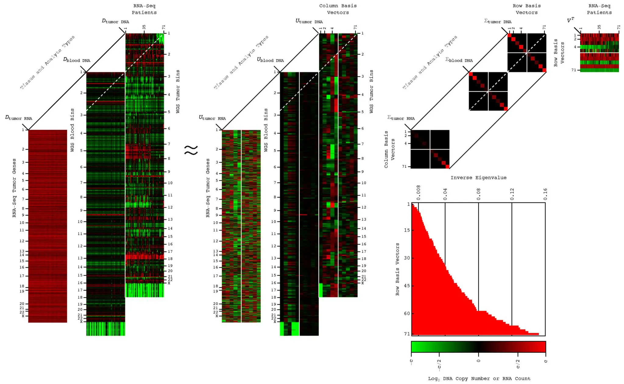 University of Utah Builds Quantum AI for Cancer’s Molecular Background
