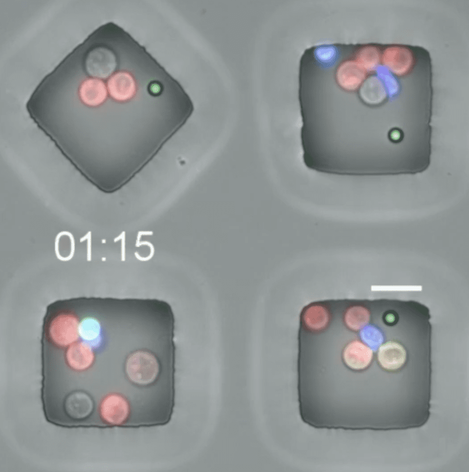 AI Drives Development of Cancer Fighting Single Cell Analysis Tool