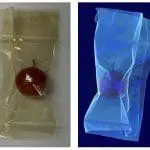 Carbon Quantum Dots From Peel Cut Food Loss by 40–50% From Kyushu University