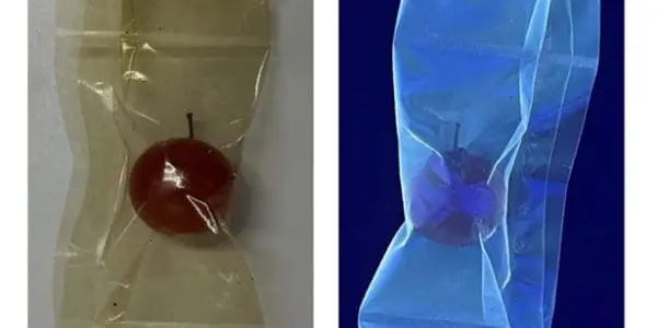 Carbon Quantum Dots From Peel Cut Food Loss by 40–50% From Kyushu University