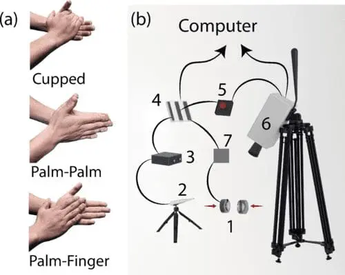 How Hand Clapping Creates Sound: New Study Reveals Physics Behind This Everyday Action | Cornell University Research