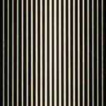 How Quantum Shadows Mimic Classical Statistics at One Setting