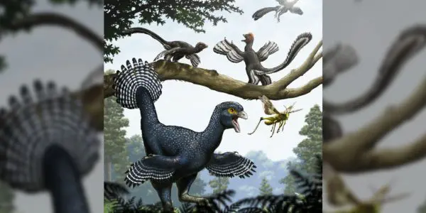 Simulated Dinosaurs Show Wings First Lured Insects to Prey