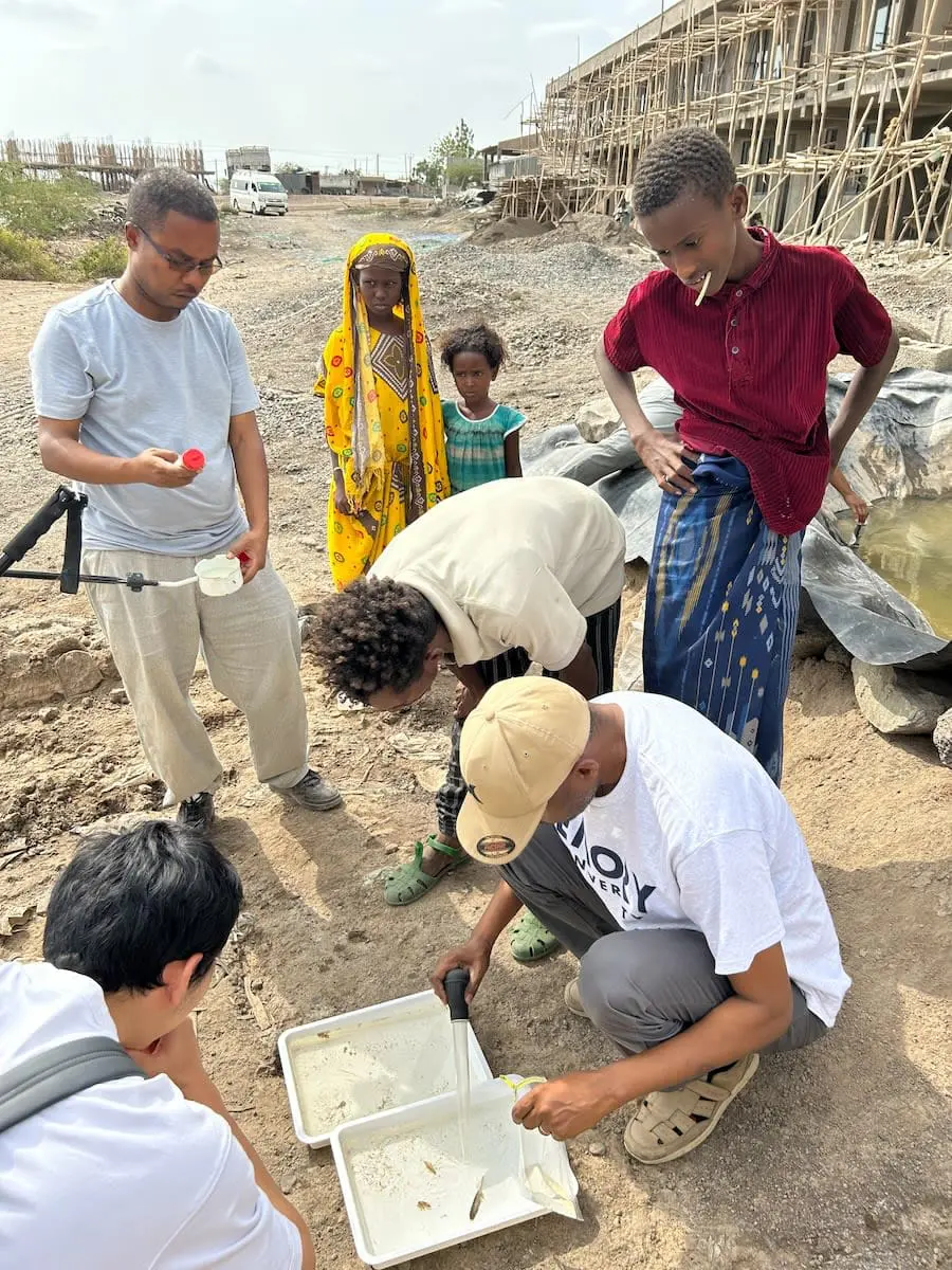 Emory Develops Innovative Method to Control Dangerous Urban Stephensi Mosquito in Ethiopia