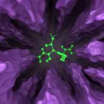 Drug discovery pipeline from molecular screening to clinical testing