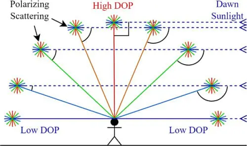  Daylight is caused by atmospheric scattering of sunlight. A high DOP region of the sky is generated where the scattering angle is close to 90∘
. As the scattering angle deviates from 90∘
, DOP reduces. At dawn, the high DOP region is directly overhead.