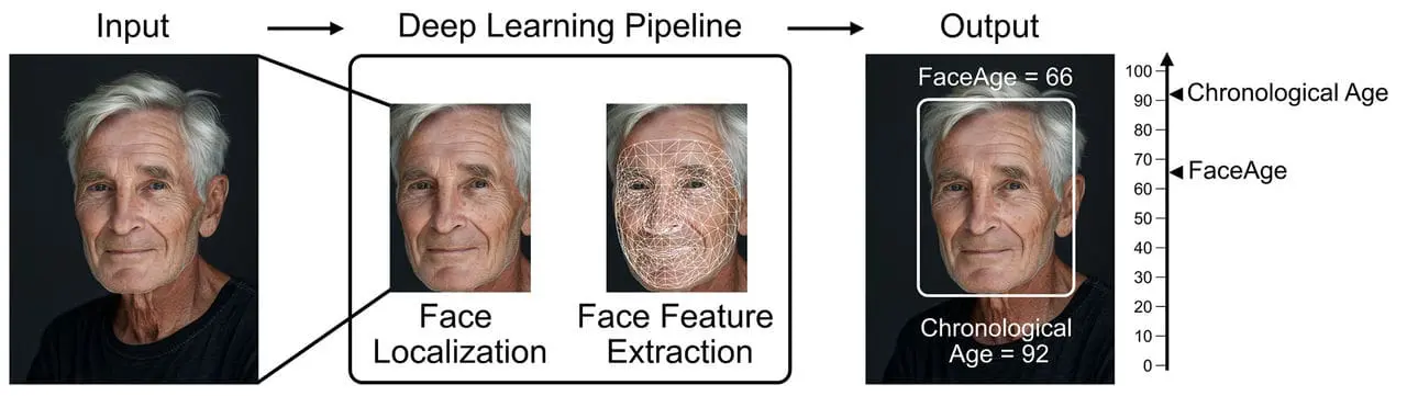 AI Tool Estimates Biological Age from Face Photos and Predicts Cancer Outcomes | Mass General Brigham Study