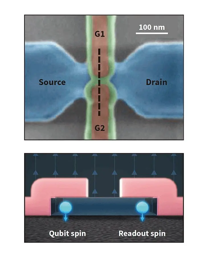The top image is a scanning electron micrograph of a split-gate transistor that uses false colors to show the metallic source and drain contacts (blue), gate electrodes 1 and 2 (brown), and insulating silicon nitride (green). The dashed line indicates the visual plane of the bottom image. The bottom image is a schematic cross-section of the split-gate transistor. The blue spheres represent the location of the electrons and the arrows the direction of their spin. The qubit spin is on the right and the readout spin is on the left.