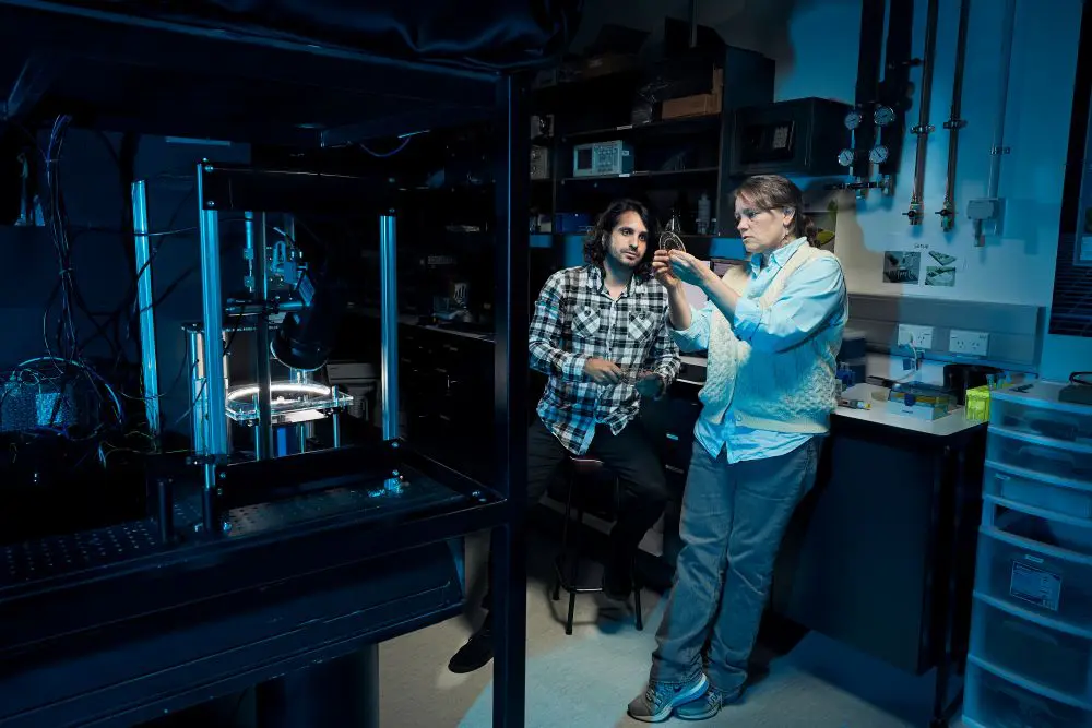 Orbis Diagnostics – Growing the Business