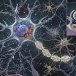 Illustration of neurons and a synapse