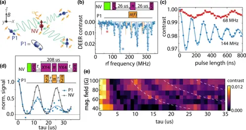 Quantum Sensing: Coherent Nuclear Spin Dynamics Unveiled Using Diamond's Nitrogen-Vacancy Centers