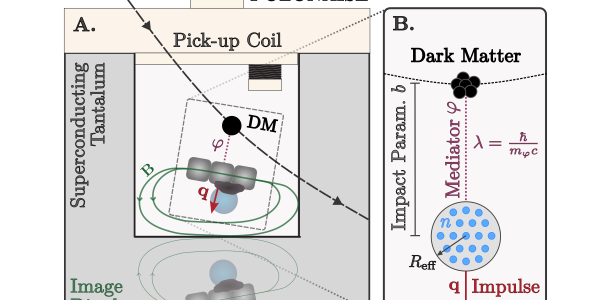 IFAE’s Amaral Explores Quantum Dark Matter Detection Method