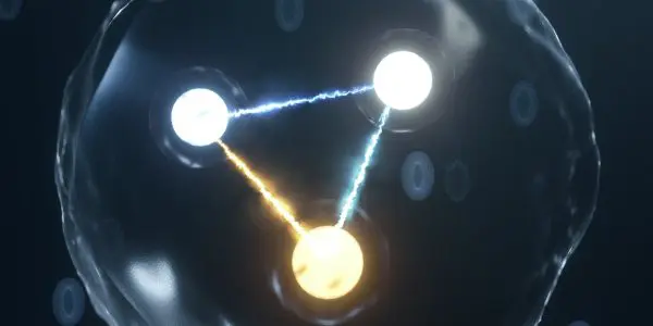 Illinois Team Develops Real-Time Quark-Gluon Simulations