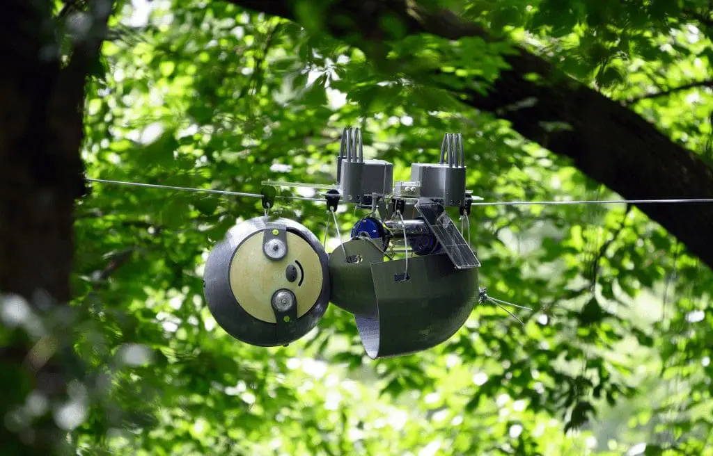 15 Of The World'S Strangest Robots SLOTHBOTH