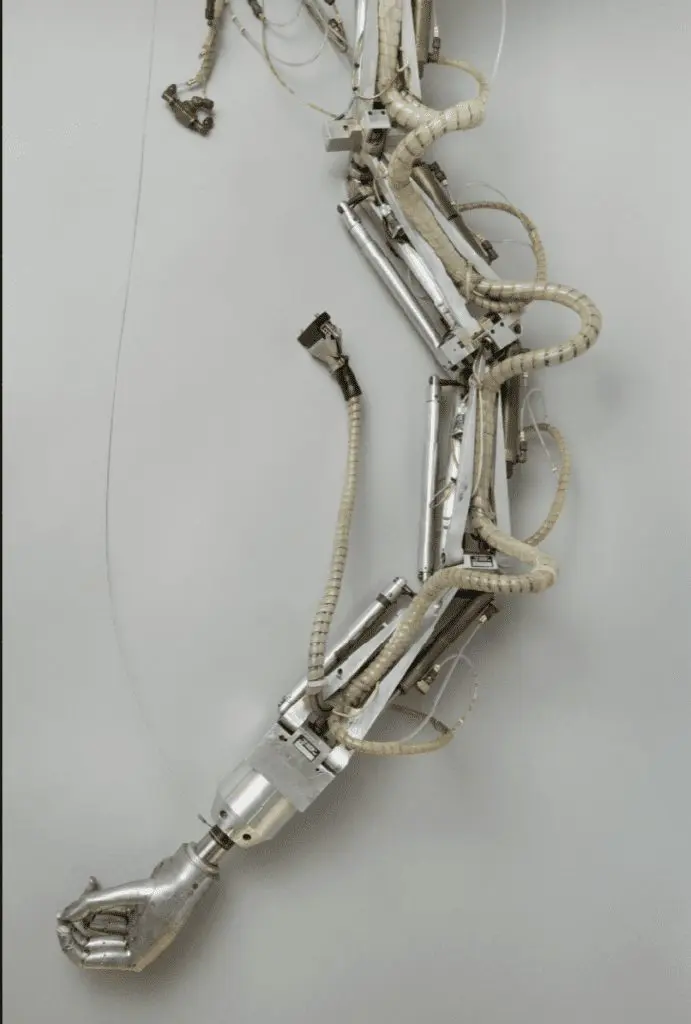 15 Of The World's Strangest Robots
