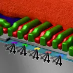 Institute’s work scales up silicon-based quantum processors