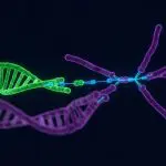 Laser Noise Cancellation Exceeds 30 Decibels across a Wide Frequency Range