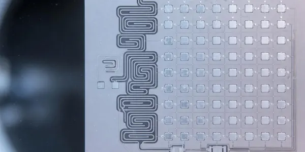 A microchip with a complex, meandering metallic pattern on a grey substrate is shown under bright, diffuse lighting.