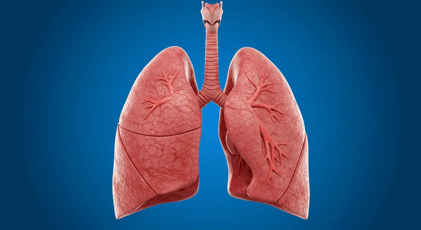 AI Detects Lung Cancer 4 Months Earlier in GP Consultations