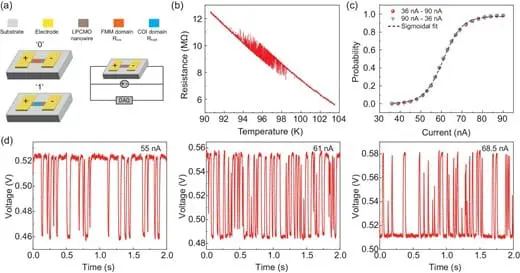 Probabilistic Bit Device Based on Manganite Nanowires Bridges Classical and Quantum Computing