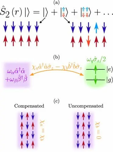 Quantum Sensing Breakthrough: Harnessing Antiferromagnets for Quantum Computing