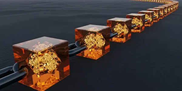 Blockchain distributed ledger recording immutable transactions