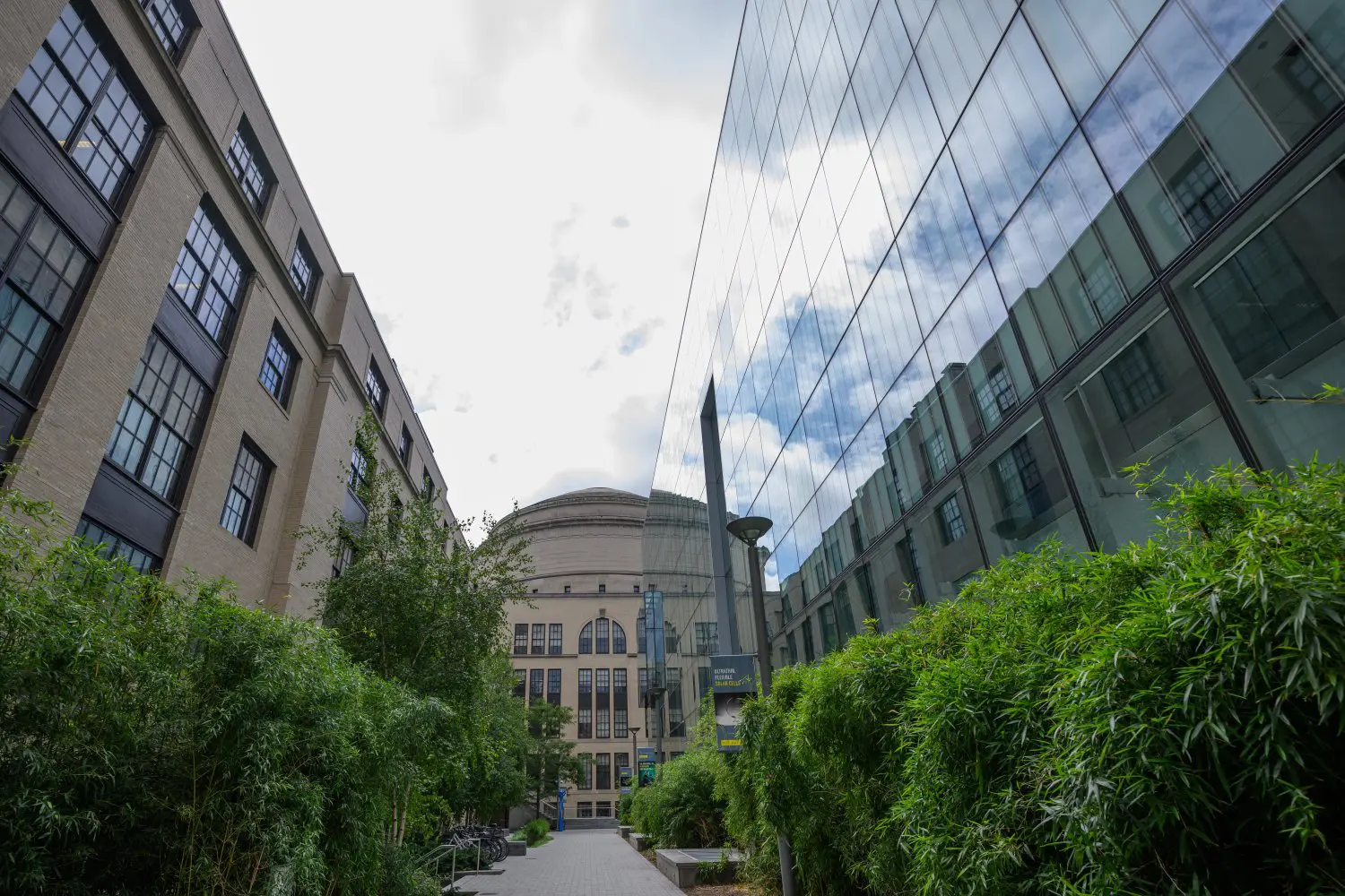 MIT launches quantum fellowships with Moore Foundation support
