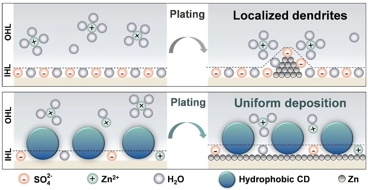 Chinese Academy innovates zinc anode with carbon dots layering