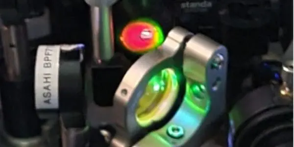 How MPL Scientists Measured Entanglement Through 99% Light Loss