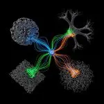 Ai’s ‘expert System’ Learns More Efficiently with New Routing Technique