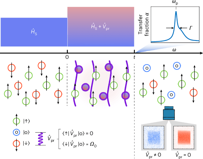 Nature Physics Maps Fermi Gas Dynamics with RF Probes