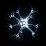 Compact neural network structure floating in deep black space, several peripheral nodes dissolving into soft particles as redundant pathways fade away, central core becoming brighter and more streamlined, clean flowing connections remaining intact, ultra sharp macro detail, cinematic scientific lighting, minimal render, strictly no text