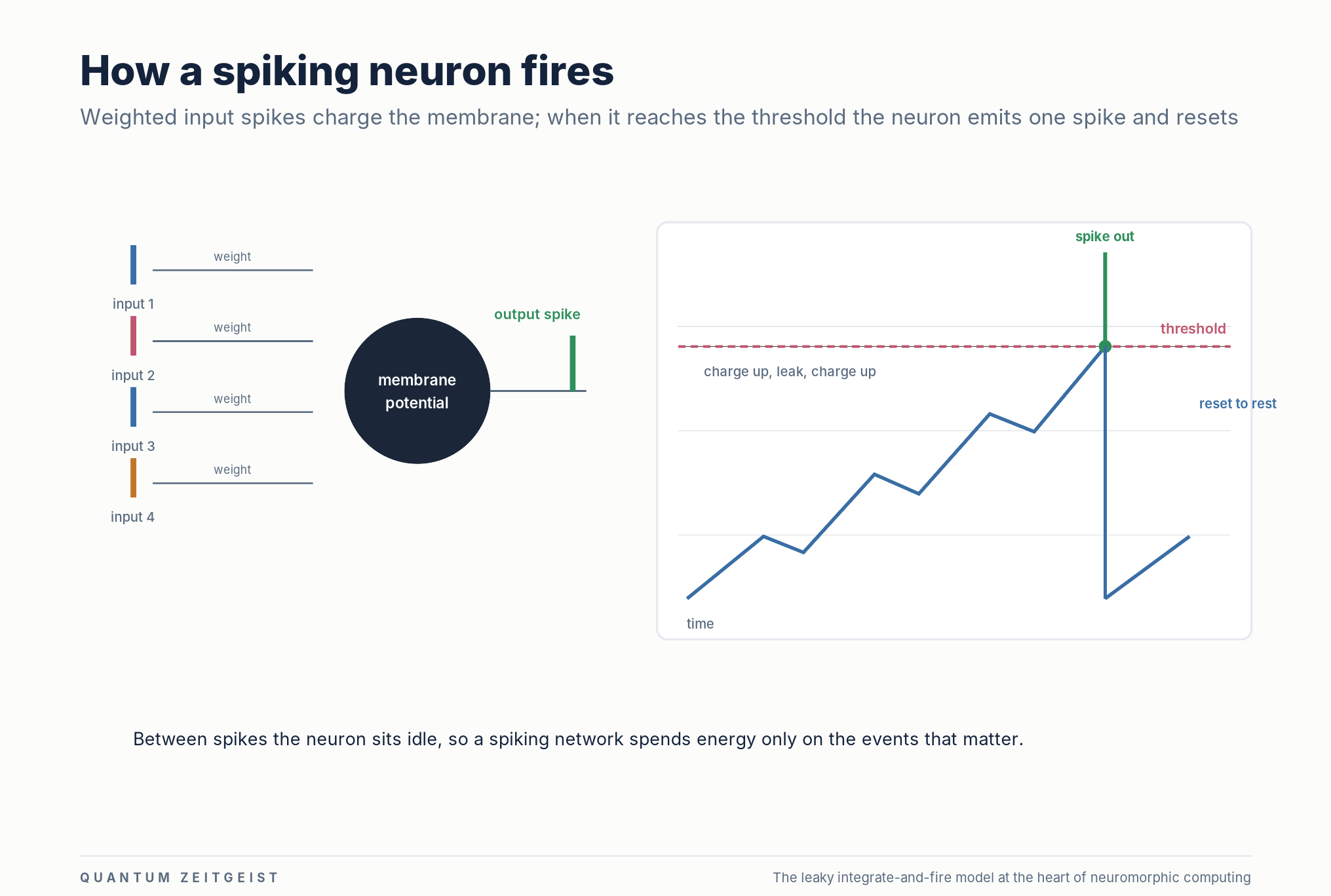 What Is Neuromorphic Computing? A spiking neuron in neuromorphic computing integrates weighted input spikes until it crosses a threshold and fires