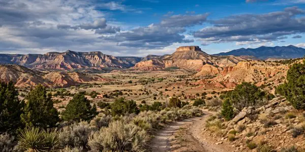 $1.2 Million Fuels Mesa Quantum Driven Quantum Sector Growth in New Mexico