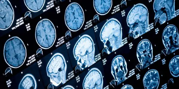 Newcastle University Receives £1.2M to Model Emotional Memory with Quantum Maths