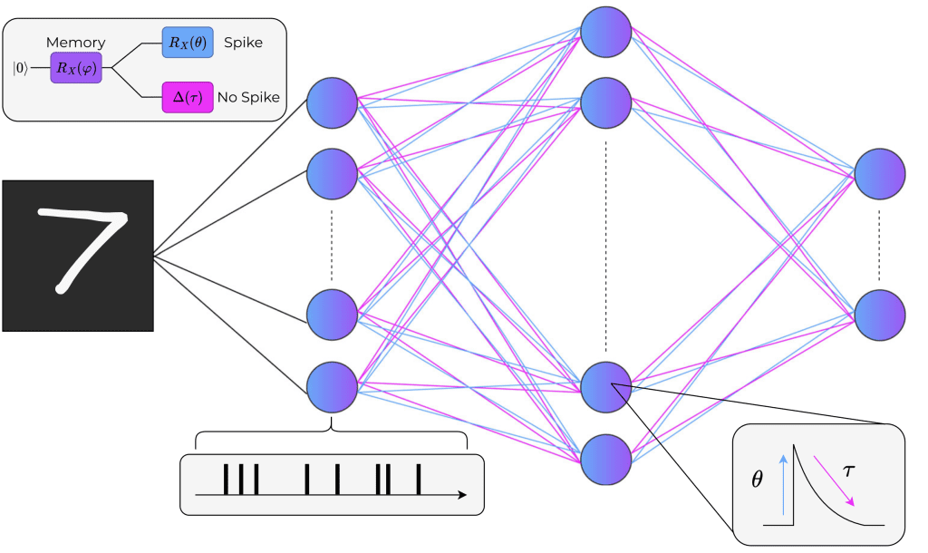  A Quantum Spiking Neural Network
structure, processing an image converted to brightness values and then to spike trains to pass
through the network. The network trains two planes of weighted synapses (θ and τ) in parallel for
each neuron. The parameter θ controls the spike intensity through the angle of the RX rotation gate.
The parameter τ controls the decay rate through the delay gate Δ, during which the qubit is left to idle and
undergo relaxation to a ground state (Bottom right). Only one of these operations occurs based on the
binary input, after a memory rotation gate which reinstates the excited state of the previous time step
measurement (Top left). Each neuron processes a series of input spikes/no-spikes (Bottom left).
Throughout the diagram θ is blue and τ is magenta.