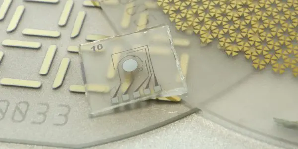 Paragraf & Archer Materials Target Quantum Computing With Graphene