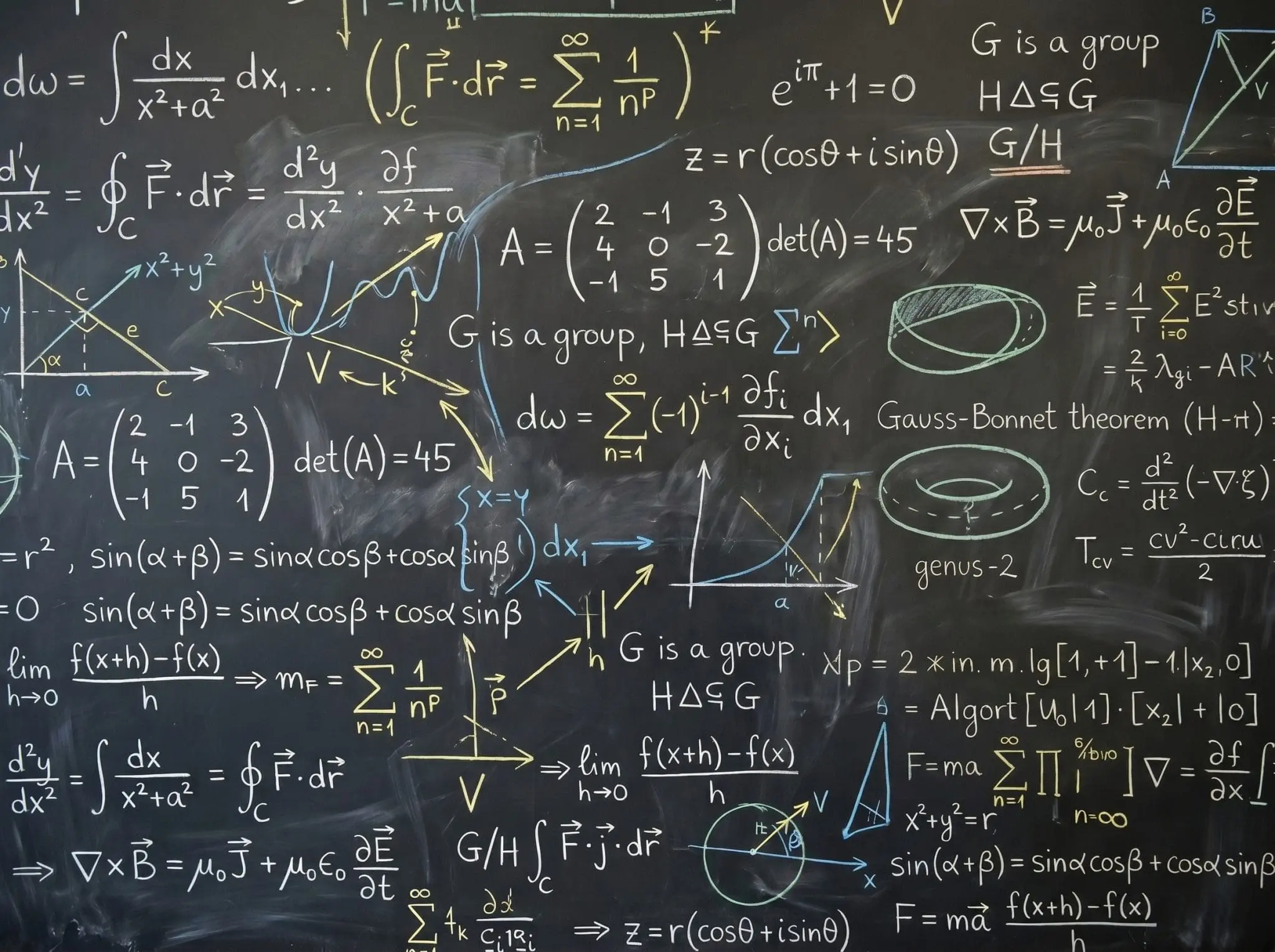 Quantum Computer Designs Face Limits to Efficient Training Despite Parameter Counts