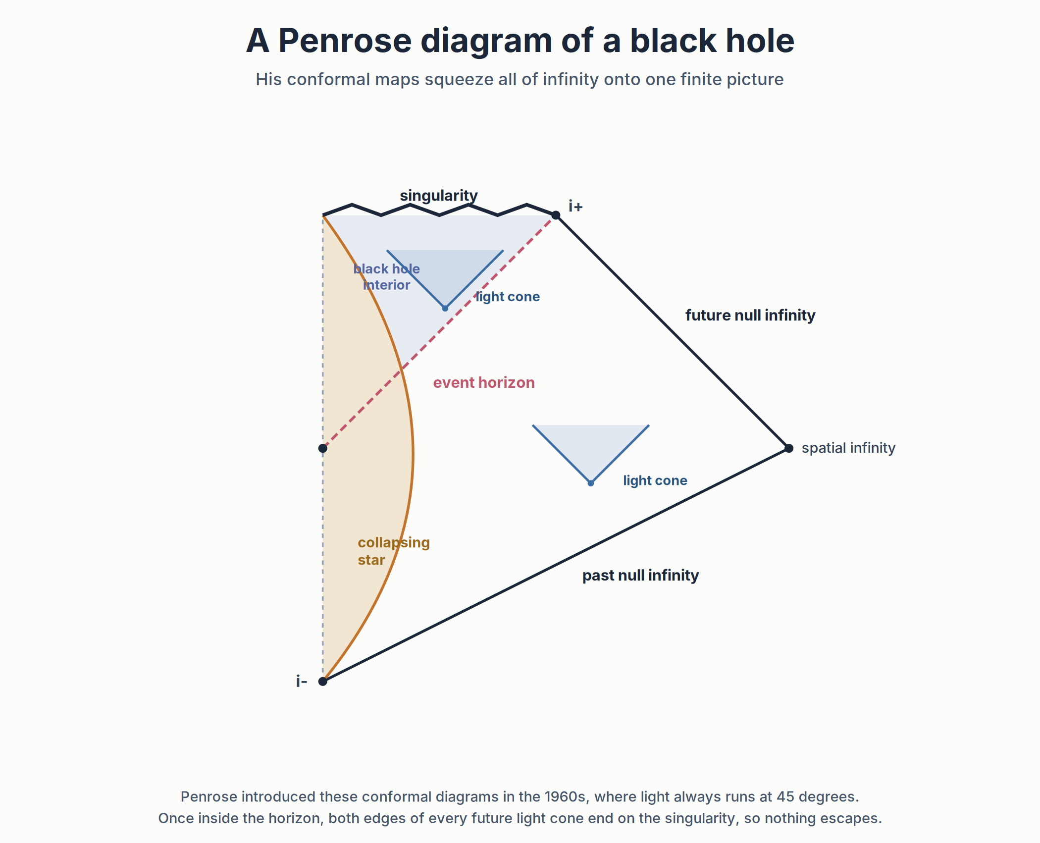 Roger Penrose A Penrose diagram of a star collapsing into a black hole, from the Roger Penrose profile