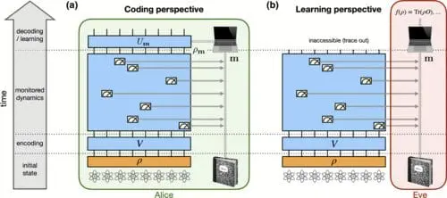 Exploring Monitored Quantum Dynamics: Unveiling Phase Transitions and the Role of Observers