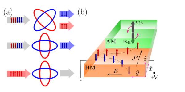 Altermagnets Achieve Deterministic 180° Néel Vector Reversal Via Asymmetric Spin Currents on Picosecond Timescale