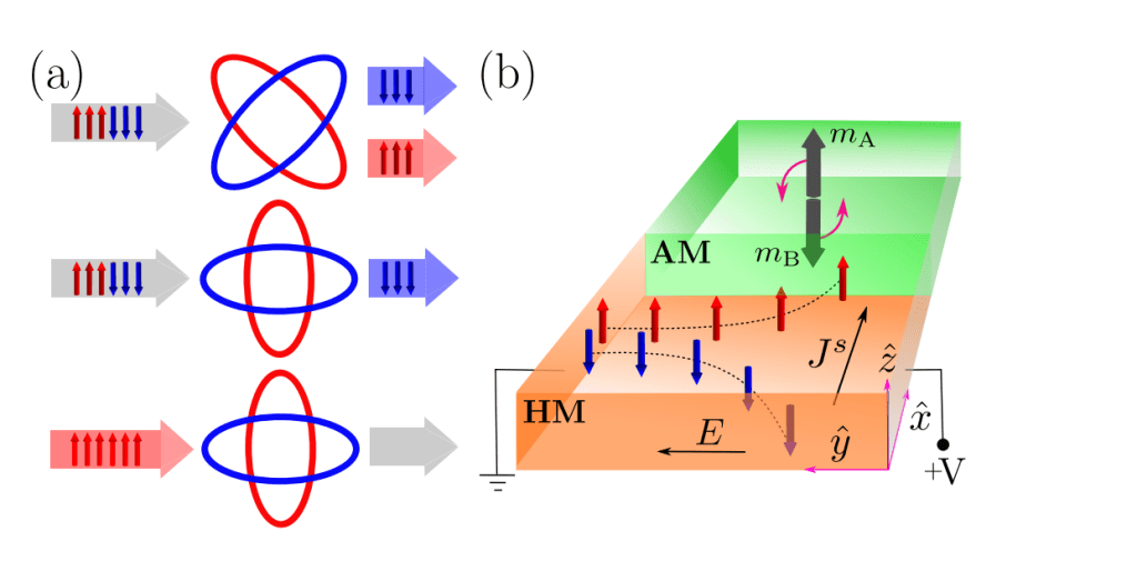 Altermagnets Achieve Deterministic 180° Néel Vector Reversal Via Asymmetric Spin Currents on Picosecond Timescale