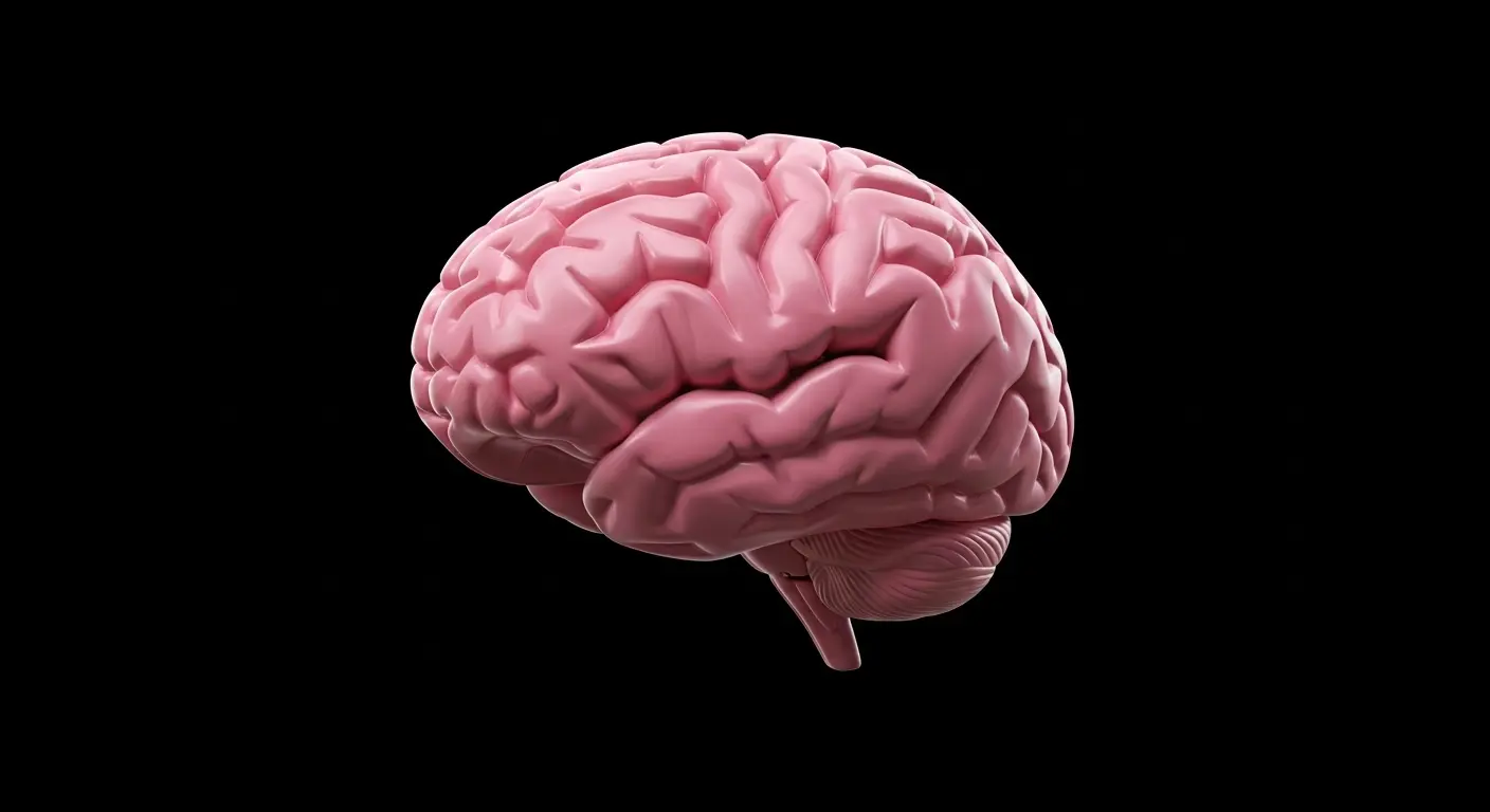 2026 Research: UC San Diego Maps Heart Attack's Impact on Brain, Nervous System