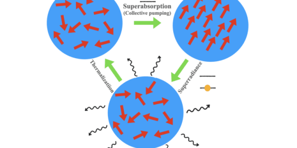 Diagram illustrating superabsorption and superradiance in a collective quantum system, showing aligned dipoles enhancing absorption and emission with thermalization effects.