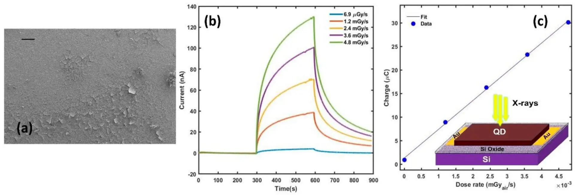 Researchers Develop Low-Cost X-ray Sensors Using Colloidal Quantum Dots