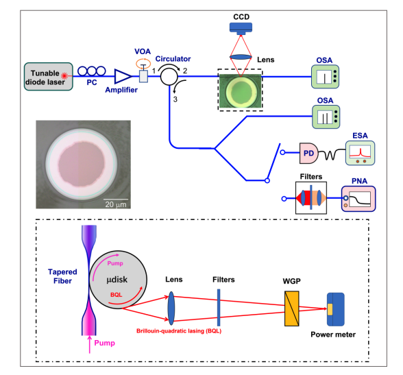 Chip-Scale Visible Laser Achieves Ultra-Narrow Linewidth and Efficient Frequency Doubling.